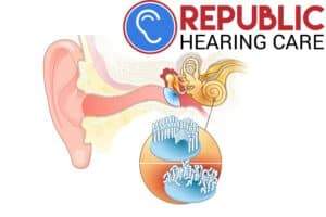 diagram of the inner working of an ear